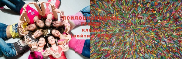 PSILOCYBIN Рославль
