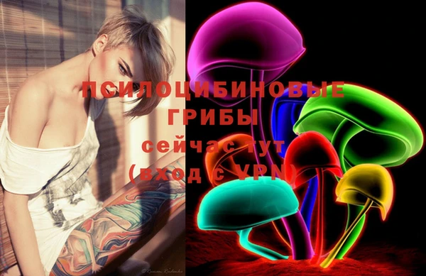 PSILOCYBIN Рославль