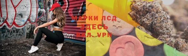 тгк Абаза