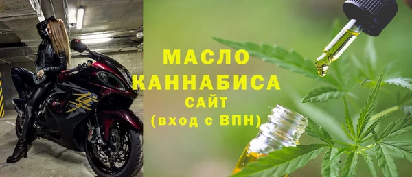 тгк Абаза